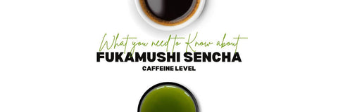 Fukamushi Sencha Koffein_ Hvad du behøver at vide