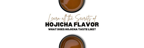 Hojicha Smag lære hvad gør Hojicha smage som