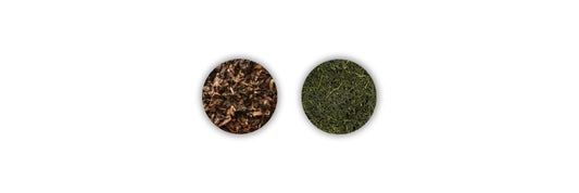 oolong vs sencha