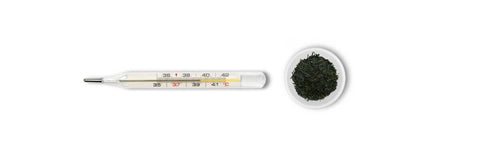 Gyokuro brygningstemperatur
