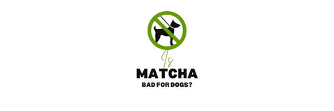 er matcha dårligt for hunde