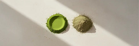 Matcha vs Kratom