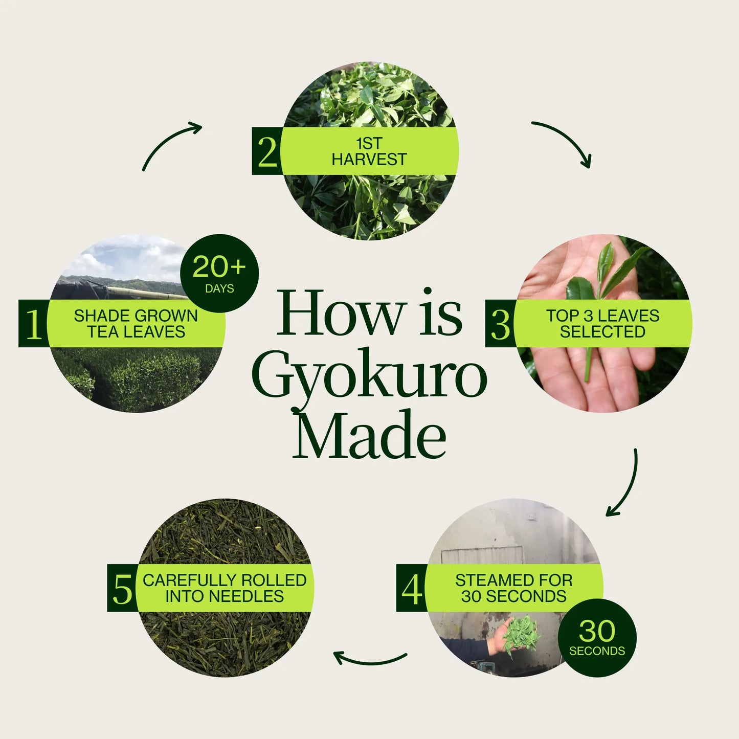 Cha Meijin Gyokuro In Bulk