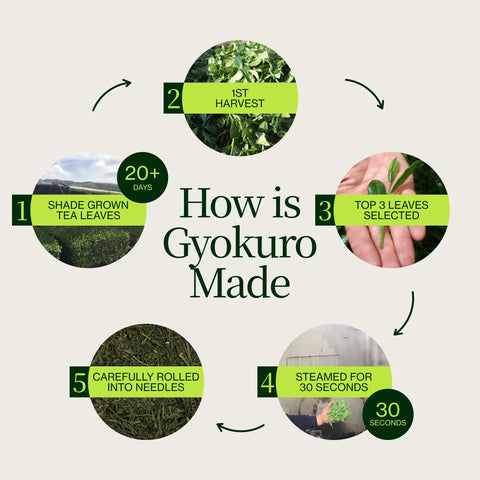 Gyokuro Zen Sakamoto