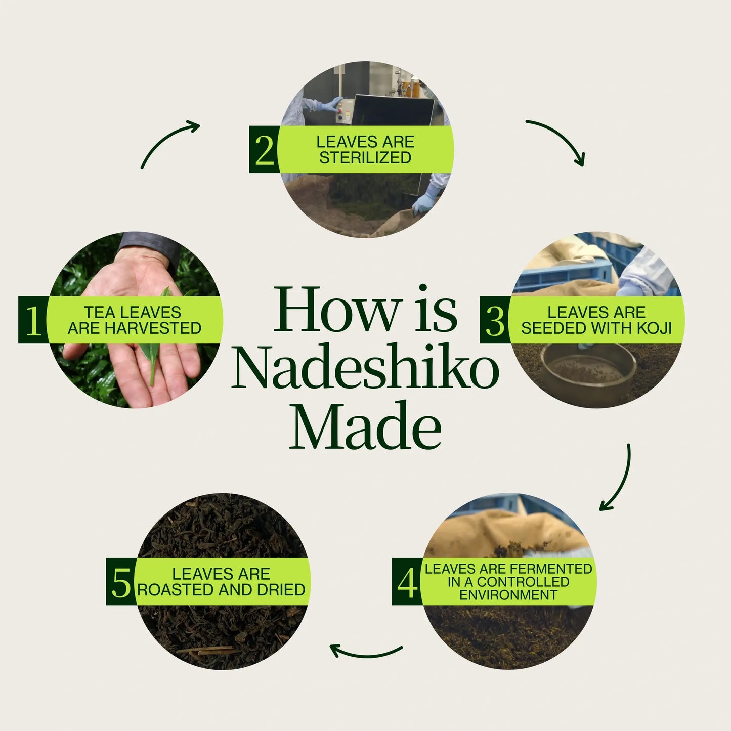 Nadeshiko Rose Japansk Fermenteret Te