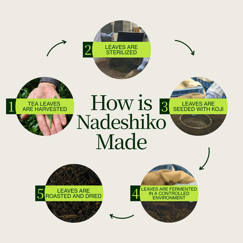 Nadeshiko Rose japansk fermenteret te
