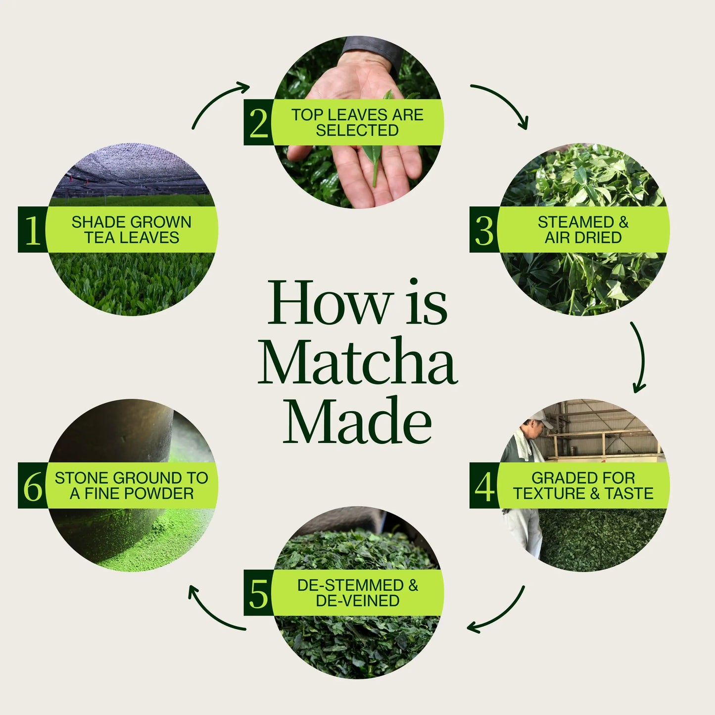 Premium Matcha Latte Pulver