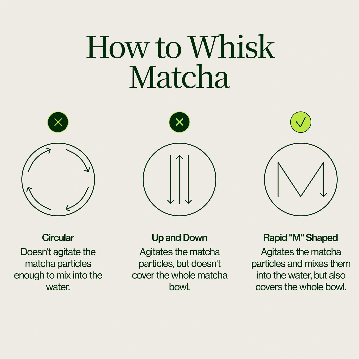 Matcha Whisk and Matcha Holder
