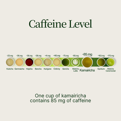 Pan Fired Kamairicha Miyazaki Sabou