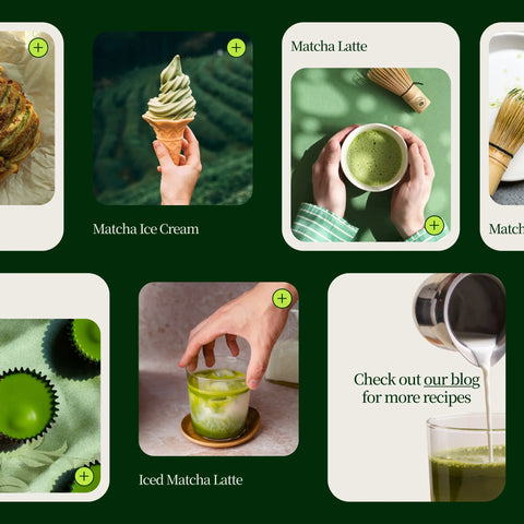 Chanoka Yabukita Matcha