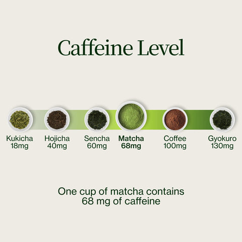 Chanoka Yabukita Matcha