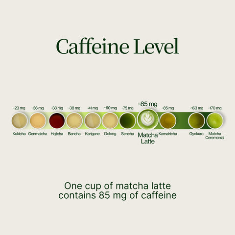 Premium matcha Chiran Grøn Te