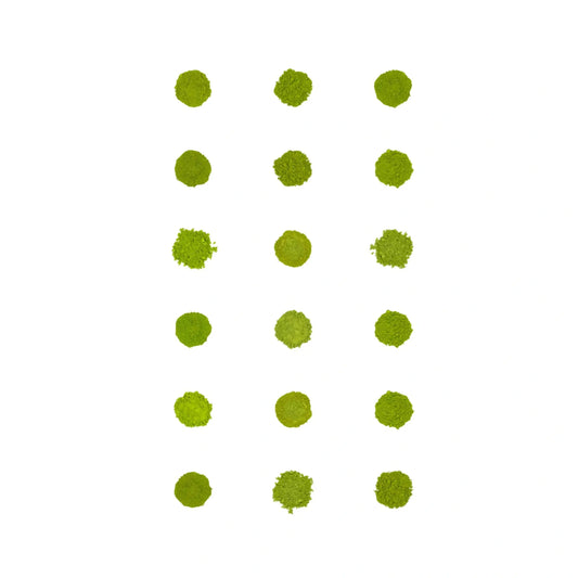Matcha Sampler 18-pak