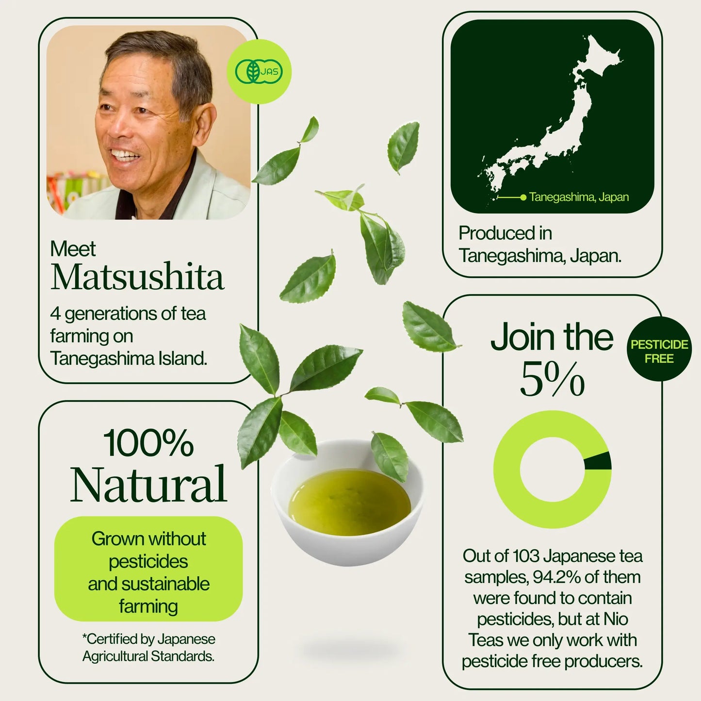 Tanegashima Saemidori Shincha