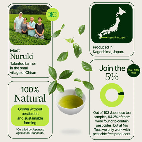 Premium matcha Chiran Grøn Te