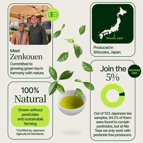 Sencha Superior Zenkouen