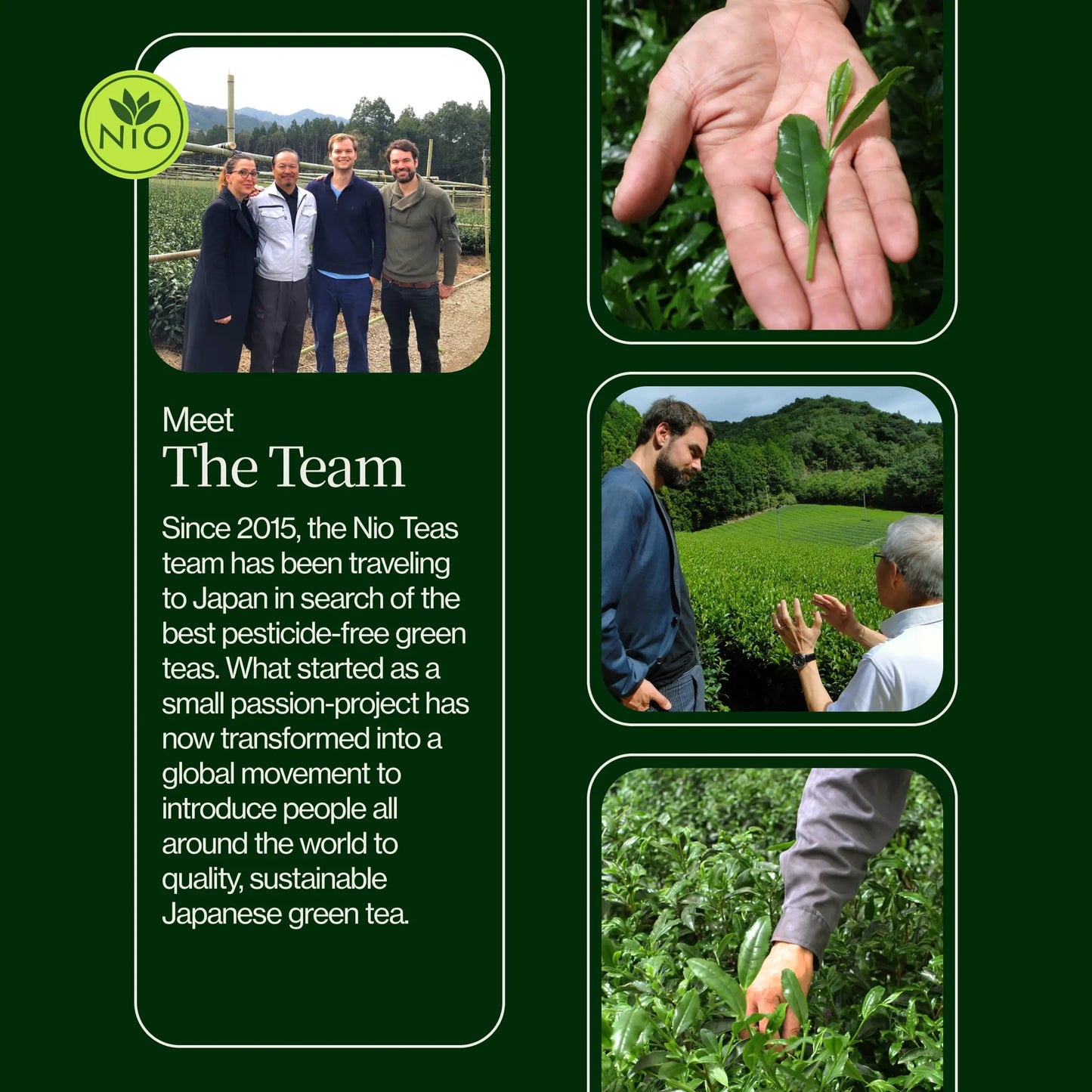 Brændt Hojicha Grøn Te Noike