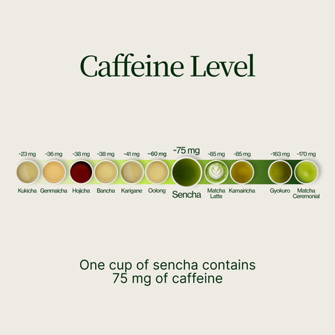Sencha Okumidori grøn te