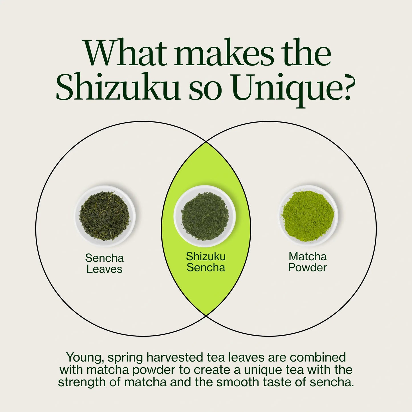 Sencha Shizuku med Matcha pulver