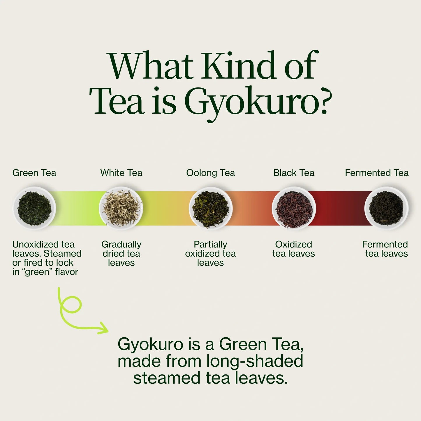 Cha Meijin Gyokuro In Bulk
