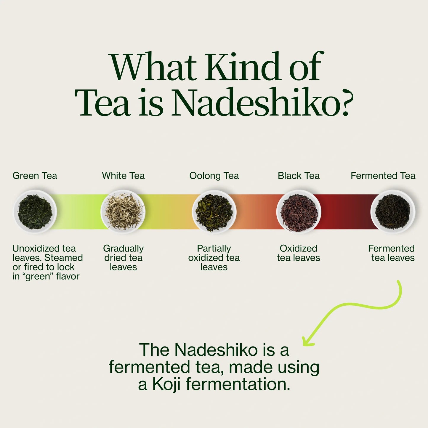 Nadeshiko Rose Japansk Fermenteret Te