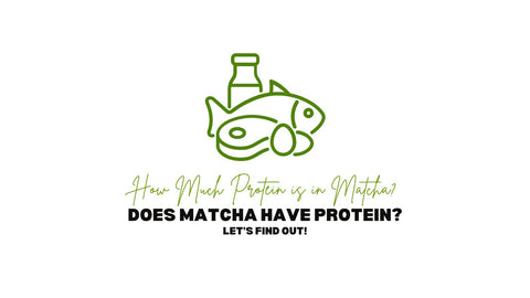 har matcha protein hvor meget protein er der i matcha
