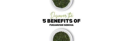 Fukamushi Sencha Sundhedsmæssige Fordele