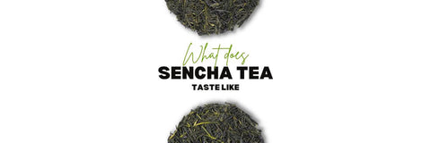 Hvad Gør Sencha Te Smager Af