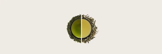 chun mee vs sencha