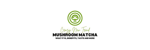 champignon matcha blog banner med skrevet skør ny trend champignon matcha hvad det er gavner smag og mere