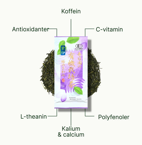 6ad762a672fab_nio-teas-fukamushi-sencha-kagoshima-murasaki-nutritional-benefits_b8accd4b-b315-4446-8079-fc8ea2b328c4_da.webp
