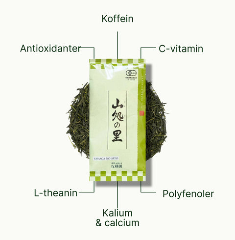 6ad762a95e68b_nio-teas-sencha-shizuoka-yamaga-no-sato-nutritional-benefits_54f5df69-c4c4-4e27-9a0c-6b490a95922a_da.webp