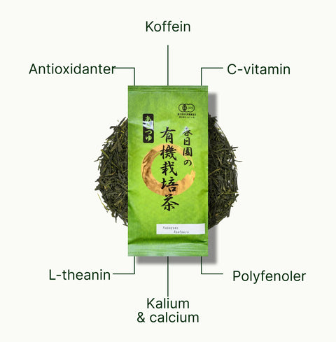 6ad762af18f7b_nio-teas-sencha-kasugaen-asatsuyu-nutritional-benefits_5a13b7c2-6198-469c-ab50-b359dc13fb79_da.webp