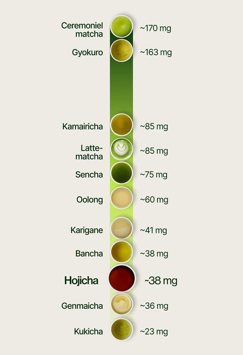 6ad7633c169c3_caffeine_chart_hojicha_da.webp
