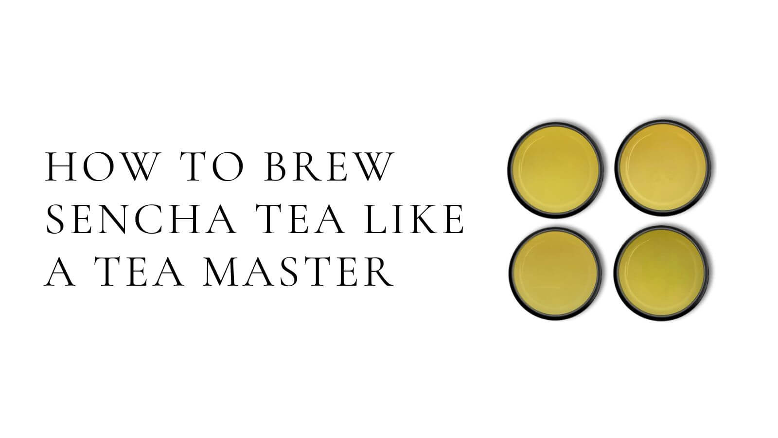 Indlæs video: How to brew sencha tea like a tea master
