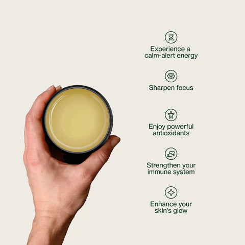 Miyazaki High Mountain Oolong te