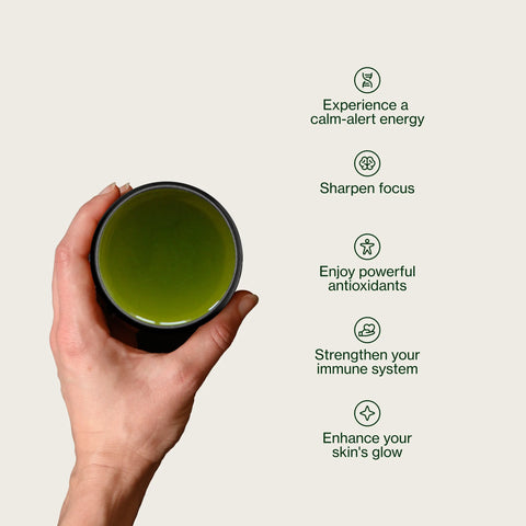 Sencha Okumidori grøn te