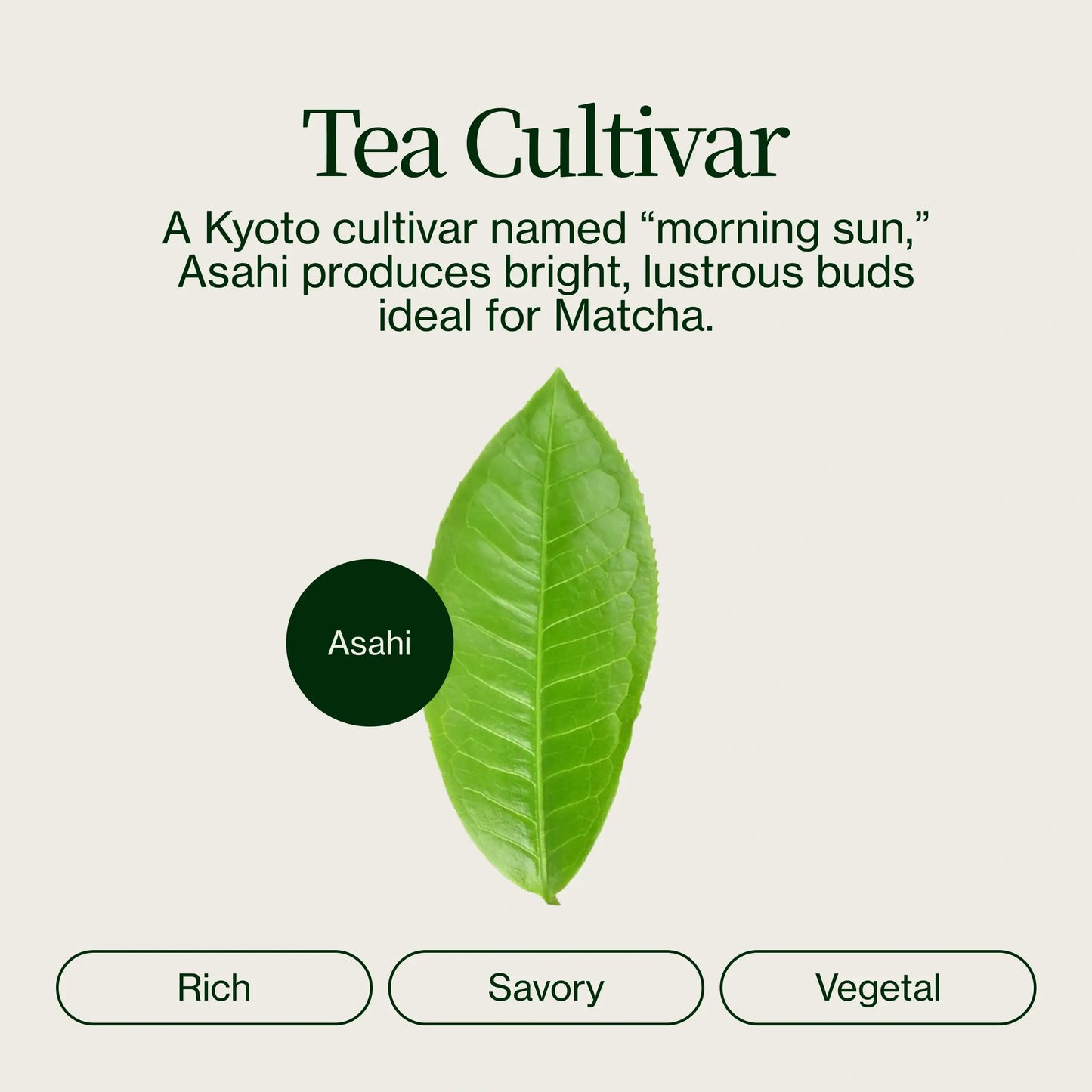 Uji Tea Chanoka Silver