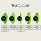 Kamairicha Green Tea Issin