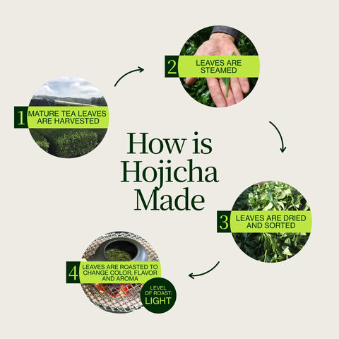 Ristet Hojicha grøn te Noike