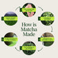 Kyoto Matcha Masudaen