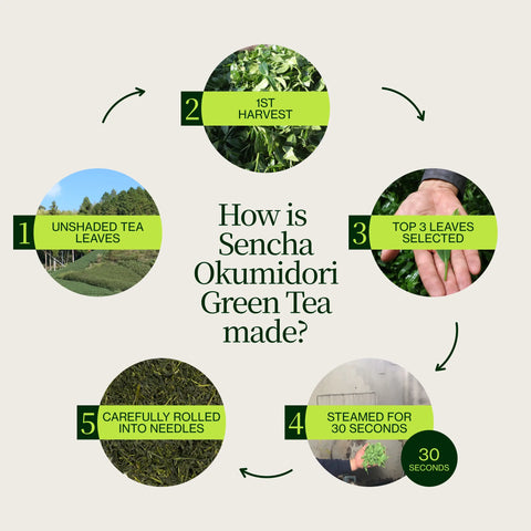 Sencha Okumidori grøn te