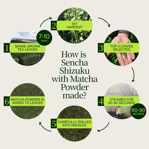 Sencha Shizuku med Matcha-pulver