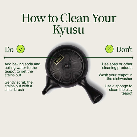 Tokoname Kyusu Fukamushi tekande