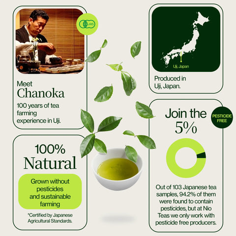 Chanoka Yabukita Matcha