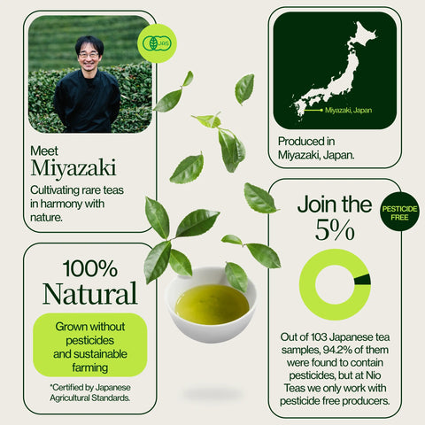 Miyazaki High Mountain Oolong te