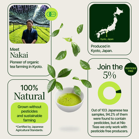 Washimine ceremoniel Matcha -te