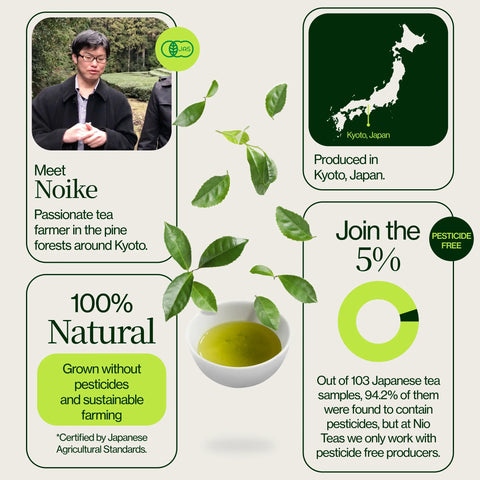 Ristet Hojicha grøn te Noike