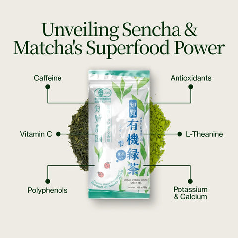 Sencha Shizuku med Matcha-pulver