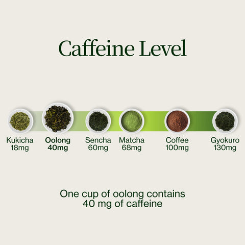 Miyazaki High Mountain Oolong te